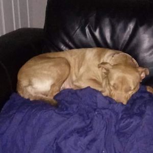 Meet your Posher, Bobby